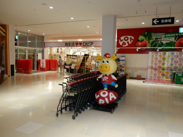 ロピア厚木南インター店 新装工事 株式会社チョウエイハンズ ロピア厚木南インター店 新装工事 株式会社チョウエイハンズ